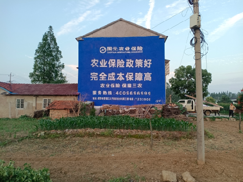 伊川县墙体广告为何受追捧？